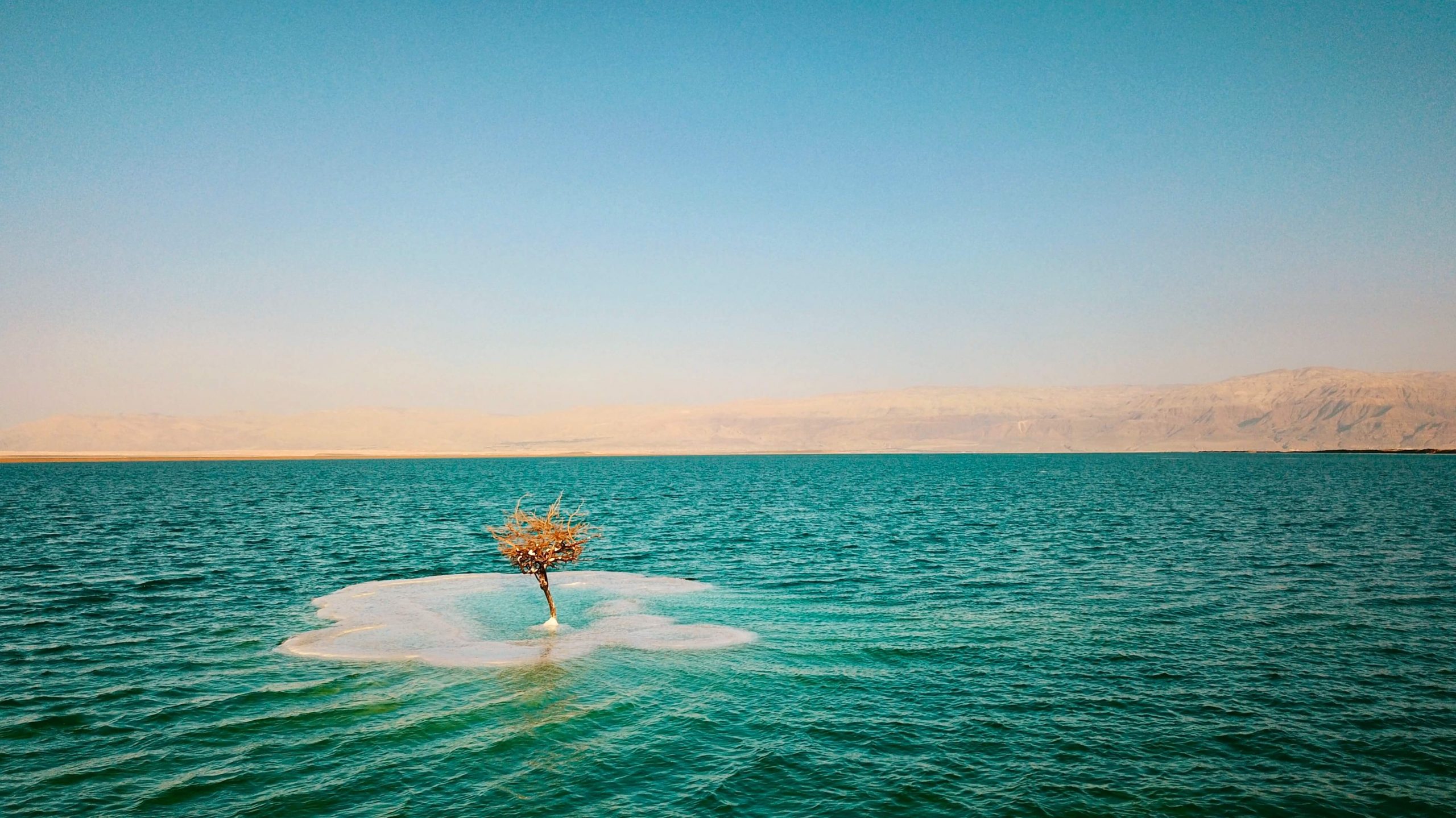 The Dead Sea Asia