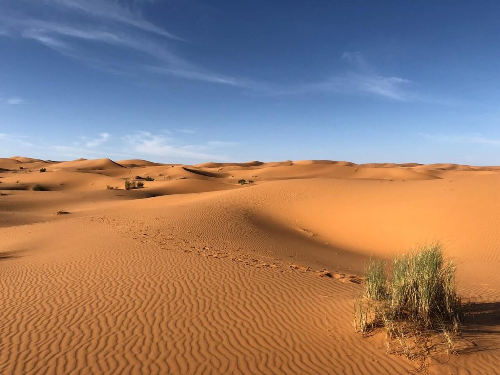 Sahara Desert of North Africa