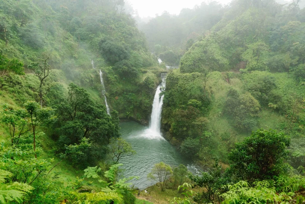 Road to Hana, Maui, Hawaii